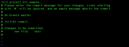 git commit message