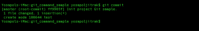 git commit success