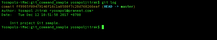 git log
