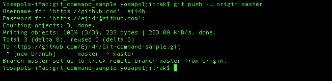git push