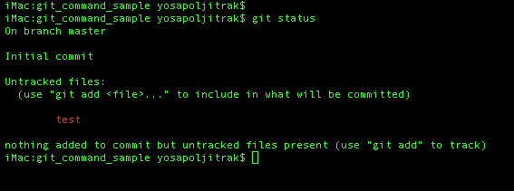git status