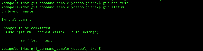git add