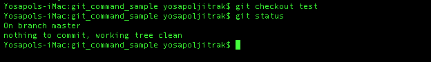 git checkout