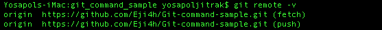 git remote -v